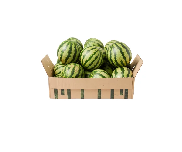 Watermelon Seed Boxes
