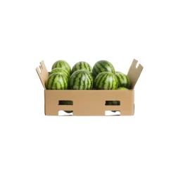 Watermelon Seed Boxes Wholesale