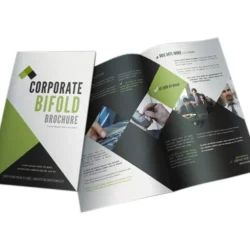 8.5 x 14 Brochures