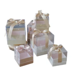 Transparent Gift Boxes