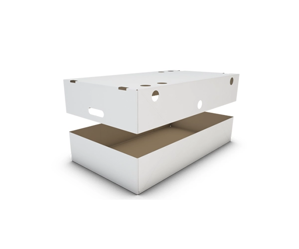 Custom Corrugated Cardboard Lid & Tray Boxes