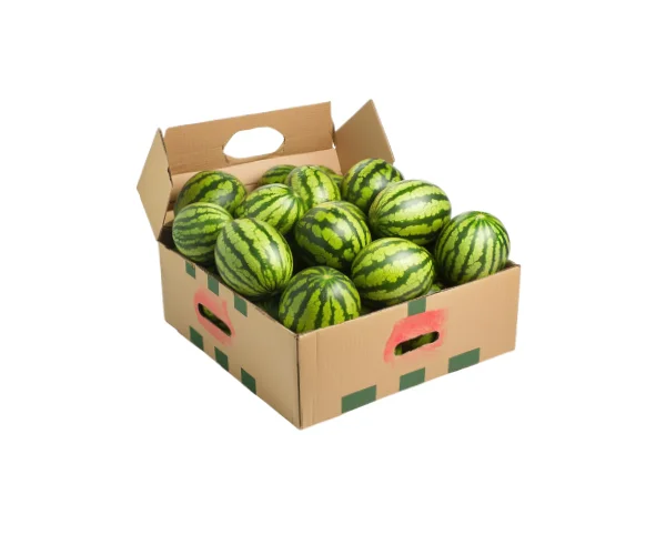 Custom Watermelon Seed Boxes