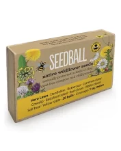 Custom Wildflower Seed Boxes