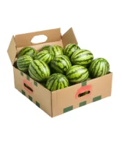 Custom Watermelon Seed Boxes