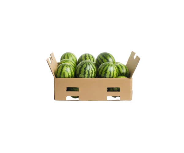 Watermelon Seed Boxes Wholesale