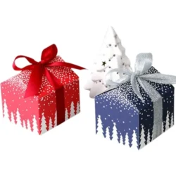 Christmas Favour Boxes