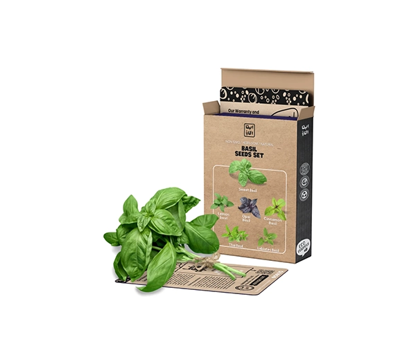 Custom Basil Seeds Boxes