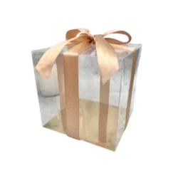 Transparent Gift Boxes