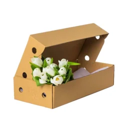 Flower Shipping Boxes