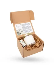 Candle Subscription Packaging Boxes